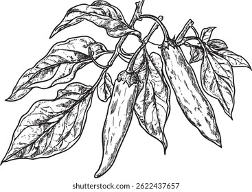 arte preta de linha de pimenta picante