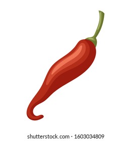 Spicy pepper vector icon.Cartoon vector icon isolated on white background spicy pepper .