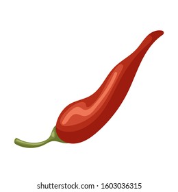 Spicy pepper vector icon.Cartoon vector icon isolated on white background spicy pepper .