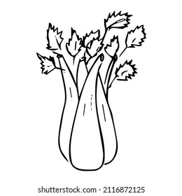 Spicy plants .Doodles ,vector,black and white illustration,coloring book for adults and children.