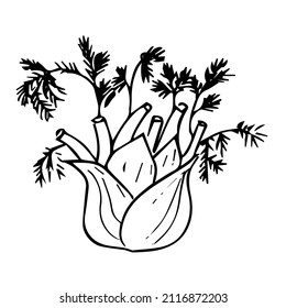 Spicy plants .Doodles ,vector,black and white illustration,coloring book for adults and children.