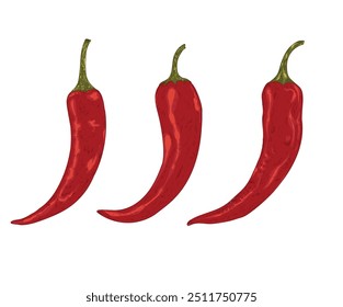 Gewürztes rotes Gemüse, Set aus rotem Chilischoten.  Hot Chilischoten T-Shirt Design für T-Shirt Print, Poster, Aufkleber, Hintergrund und andere Verwendungen. Immer frisches scharfes Grafikdesign. Rote scharfe Chilischoten.