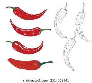 Spicy red vegetable, Set of red chili pepper.