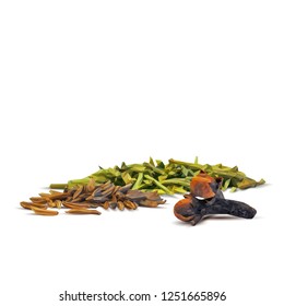 Spicy rosemary, fragrant cardamom and tasty spice. Symbols of spice. Elements for design. Vector illustration. Spices ingredients in triangulation technique. Rosemary low poly.