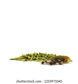 Spicy rosemary, fragrant cardamom and tasty spice. Symbols of spice. Elements for design. Vector illustration. Spices ingredients in triangulation technique. Rosemary low poly.