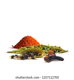 Spicy rosemary, fragrant cardamom and tasty spice. Symbols of spice. Elements for design. Vector illustration. Spices ingredients in triangulation technique. Paprika low poly.