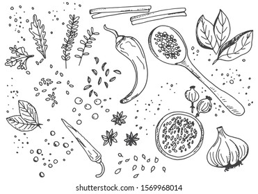 spicy spices and herbs set background