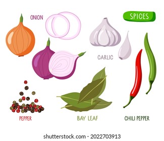 Spicy spices and vegetables set. Collection of fresh root and dry spices with inscriptions for cooking and flavor isolated. Flat vector Ingredients for fragrant dishes. Culinary spices for menu.