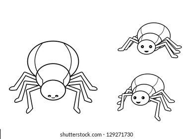 spider