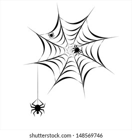 spider