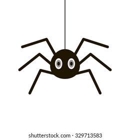 spider