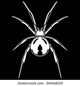 spider