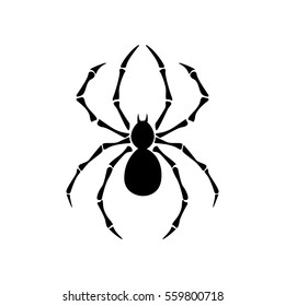 spider
