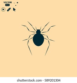 spider