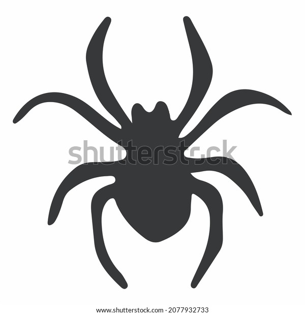 spider animal arachnid\
gray silhouette
