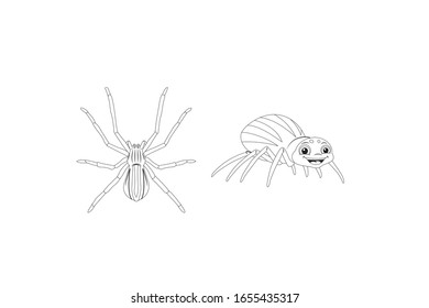 Spider Animal Cartoon Vector Outline Illustration