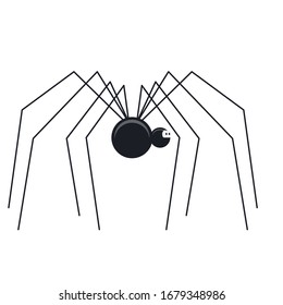 Spider. Animal, insect. Vector illustration