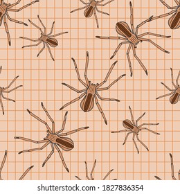 Spider Animal Seamless Vector Pattern Design Background