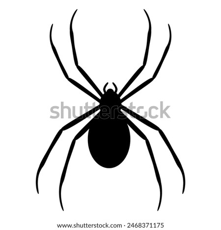 Spider animal silhouette vector image