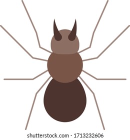 spider animal vector illustration icon flat design