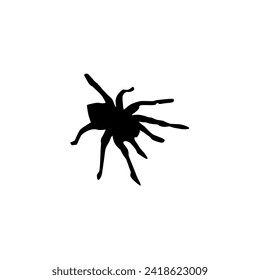 spider animal vector silhouette model in black