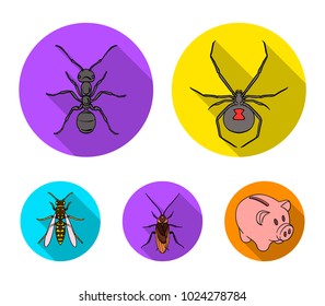 Spider, ant, wasp, bee .Insects set collection icons in flat style vector symbol stock illustration web.