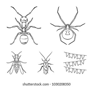 Spider, ant, wasp, bee .Insects set collection icons in outline style vector symbol stock illustration web.