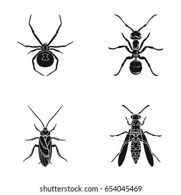 Spider, ant, wasp, bee .Insects set collection icons in black style vector symbol stock illustration web.