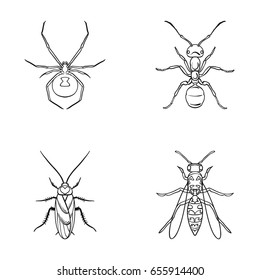 Spider, ant, wasp,Insects set collection icons in outline style vector symbol stock illustration web.