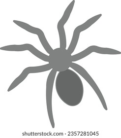 spider arachnophobia bot poisonous animal