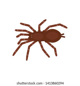 Spider baboon icon in flat style, african animal vector illustration