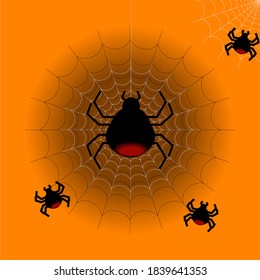 spider background illustration vector art