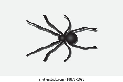 A spider background, a symbol or a small exotic animal image. Venomous animal