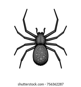 Aracnido negro araña sobre fondo blanco. Ilustración del vector