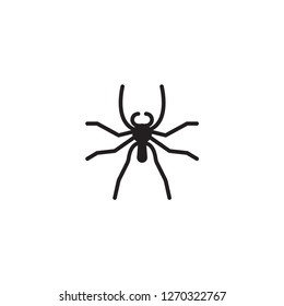 spider black icon