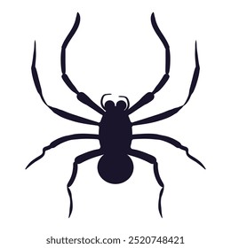 Spider. A black spider with long legs, representing Halloween, creepy crawlies, and fear of arachnids.