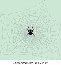 Spider. black spider on a web. Vector