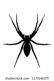 Spider black silhouette isolated on white background. Spooky insect logo illustration, halloween icon vector eps 10