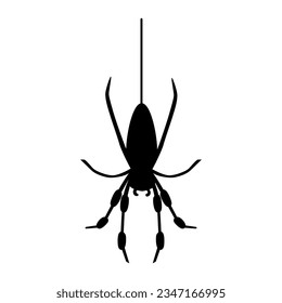 Spider black silhouette vector illustration isolted on white. 