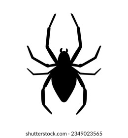 Spider black silhouette vector illustration isolated on white. 