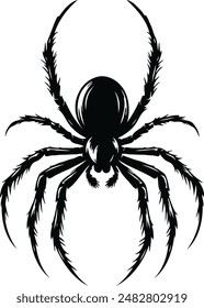 Spider black silhouette vector image