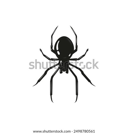 Spider Black Silhouette. Black Widow spider in vector isolated on White. Single Spider Icon or Logo. Good as a design element to Halloween Holidays.