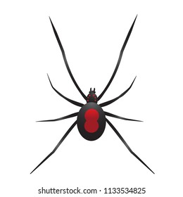 Spider black vector design.