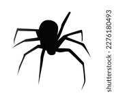 Spider Black Widow. Black bug spider silhouette, isolated white background. Scary Halloween icon, symbol horror, animal arachnid, creepy dangerous insect, arachnophobia fear. Vector illustration.