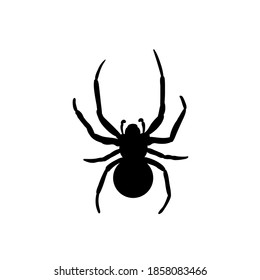 Spider Black Widow. Black bug spider silhouette, isolated white background. Scary Halloween icon, symbol horror, animal arachnid, creepy dangerous insect, arachnophobia fear. Vector illustration