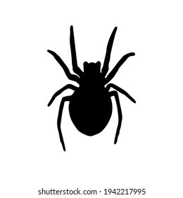 Spider Black Widow. Black bug spider silhouette, isolated white background. Scary Halloween icon, symbol horror, animal arachnid, creepy dangerous insect, arachnophobia fear. Vector illustration