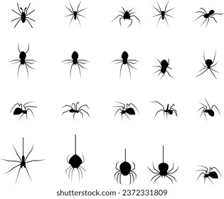 Viuda negra araña. Silueta de araña de insecto negro, fondo blanco aislado. Asustado ícono de Halloween, horror de símbolo, arácnido animal, insectos peligrosos y escalofriantes, miedo a la aracnofobia