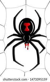 Spider Black Widow, cobweb. Red black spider 3D, spiderweb, isolated white background. Scary Halloween decoration icon web. Symbol networking, animal arachnid, creepy insect fear Vector illustration