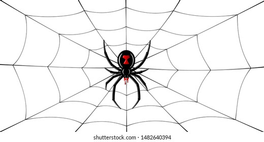 Spider Black Widow, cobweb. Red black spider 3D, spiderweb, isolated white background. Scary Halloween decoration icon web. Symbol networking, animal arachnid, creepy insect fear Vector illustration