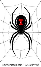 Spider Black Widow, cobweb. Red black spider 3D, spiderweb, isolated white background. Scary Halloween decoration icon web. Symbol networking, animal arachnid, creepy insect fear Vector illustration
